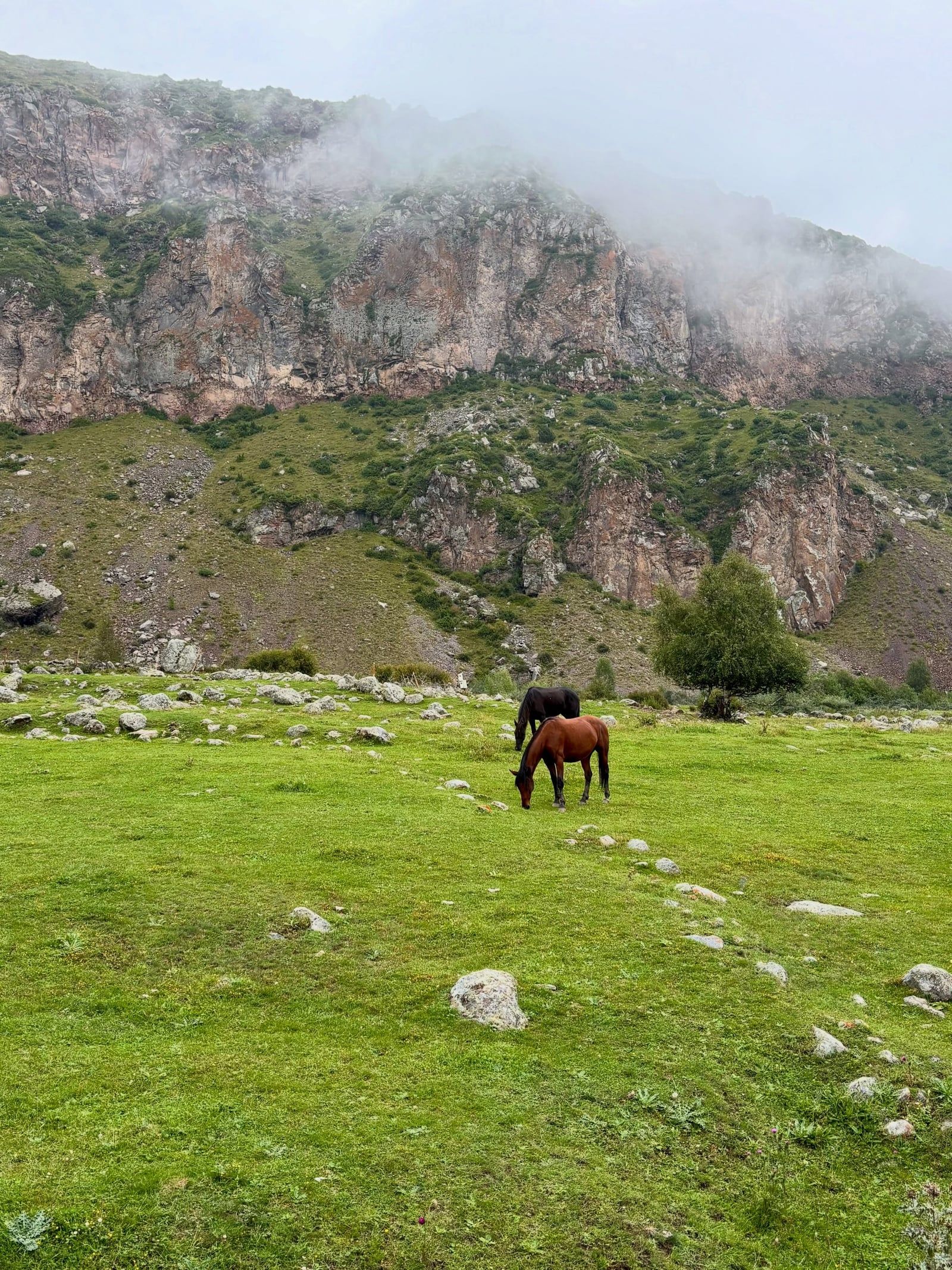 Kazbegi view